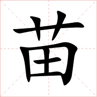 苗字字形