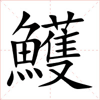 鱯字字形