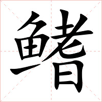 鳍字字形