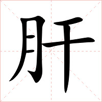 肝字字形