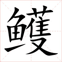 鳠字字形