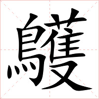 鸌字字形